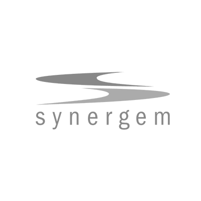 Synergem