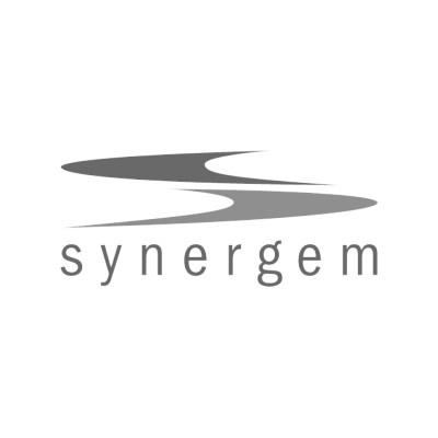 synergem
